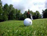 Dean & Deluca Invitational Golf Tournament 202//152